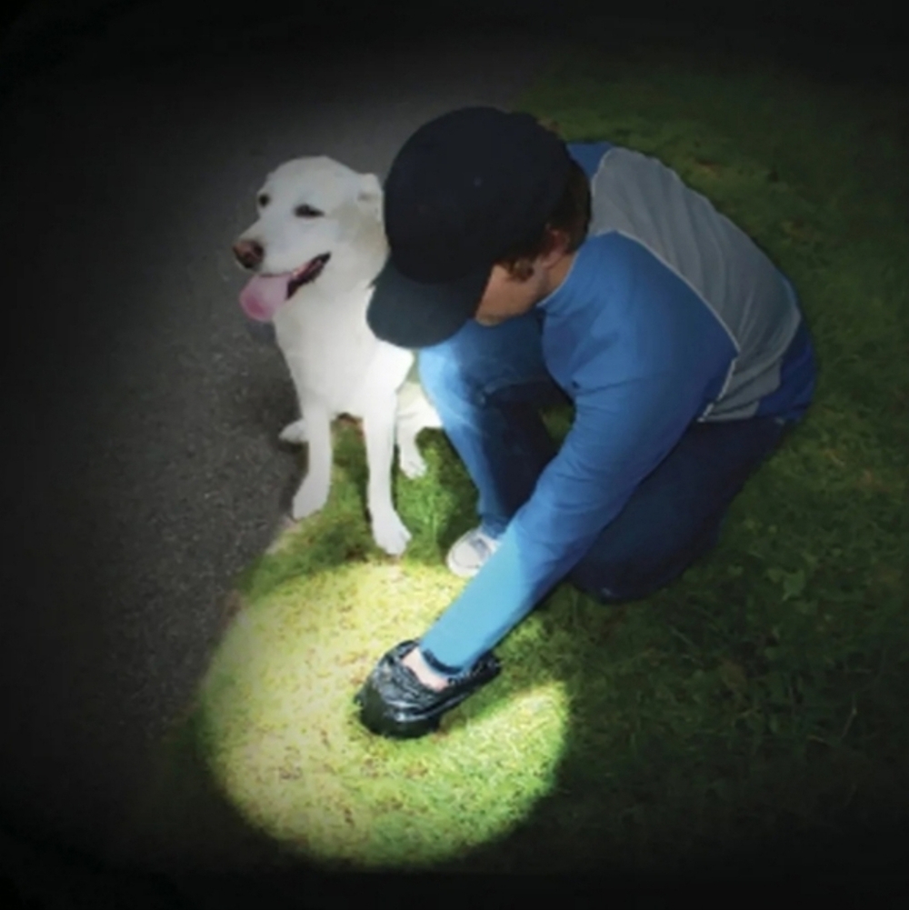 LED Headlamp Hat Pink Hands Free Cap Night Running Dog Adjustable Hiking NWT
